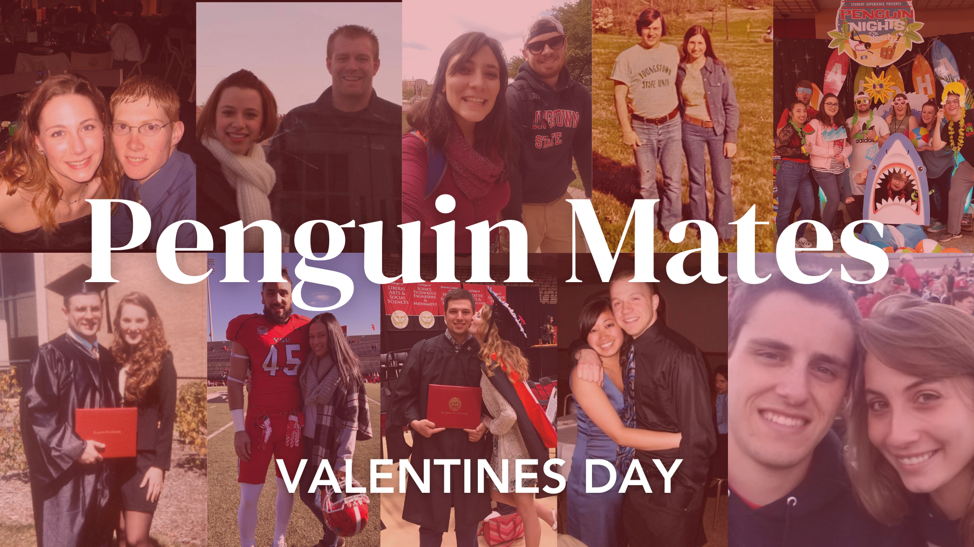 penguin_mates_header